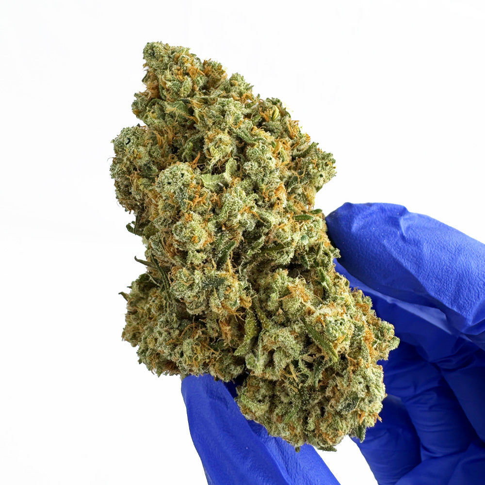 Amnesia JSH B1 CBD - Indoor — photo 5