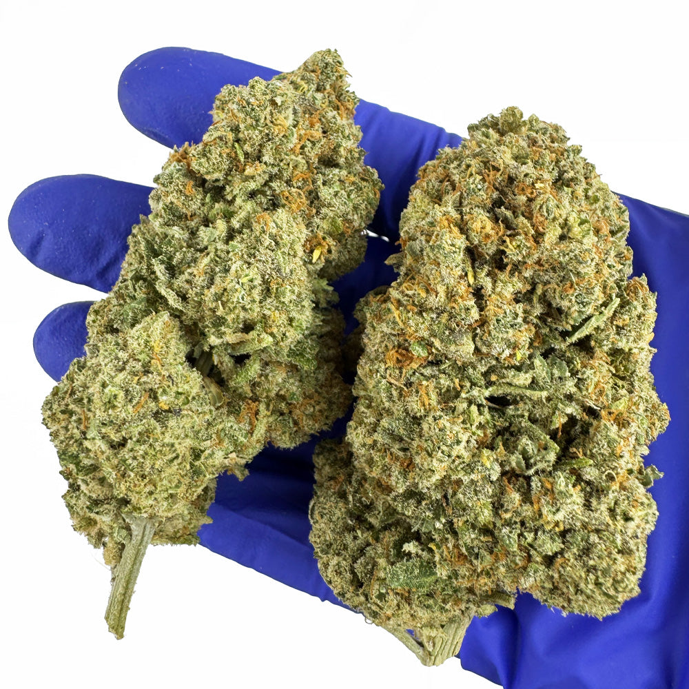 Cookies Cream CBD - Indoor