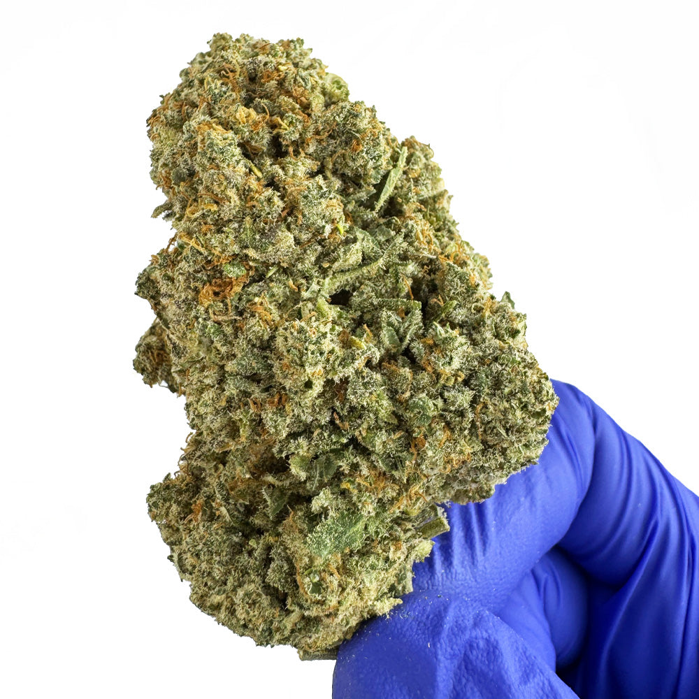 Cookies Cream CBD - Indoor