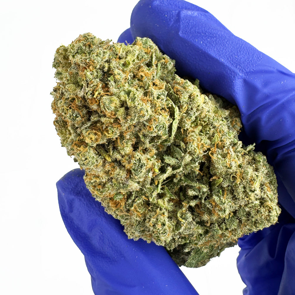 Cookies Cream CBD - Indoor