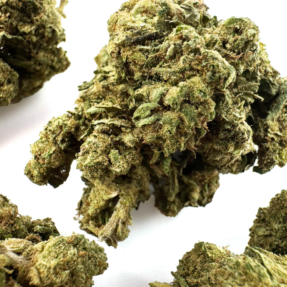 Super Skunk - Greenhouse — photo 3