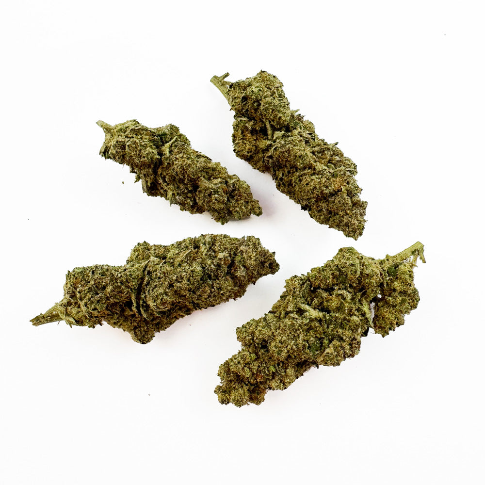 Apple Fritter - Indoor — photo 2