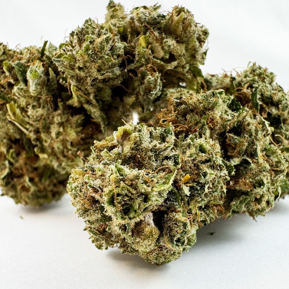 RS11 - Indoor — photo 2