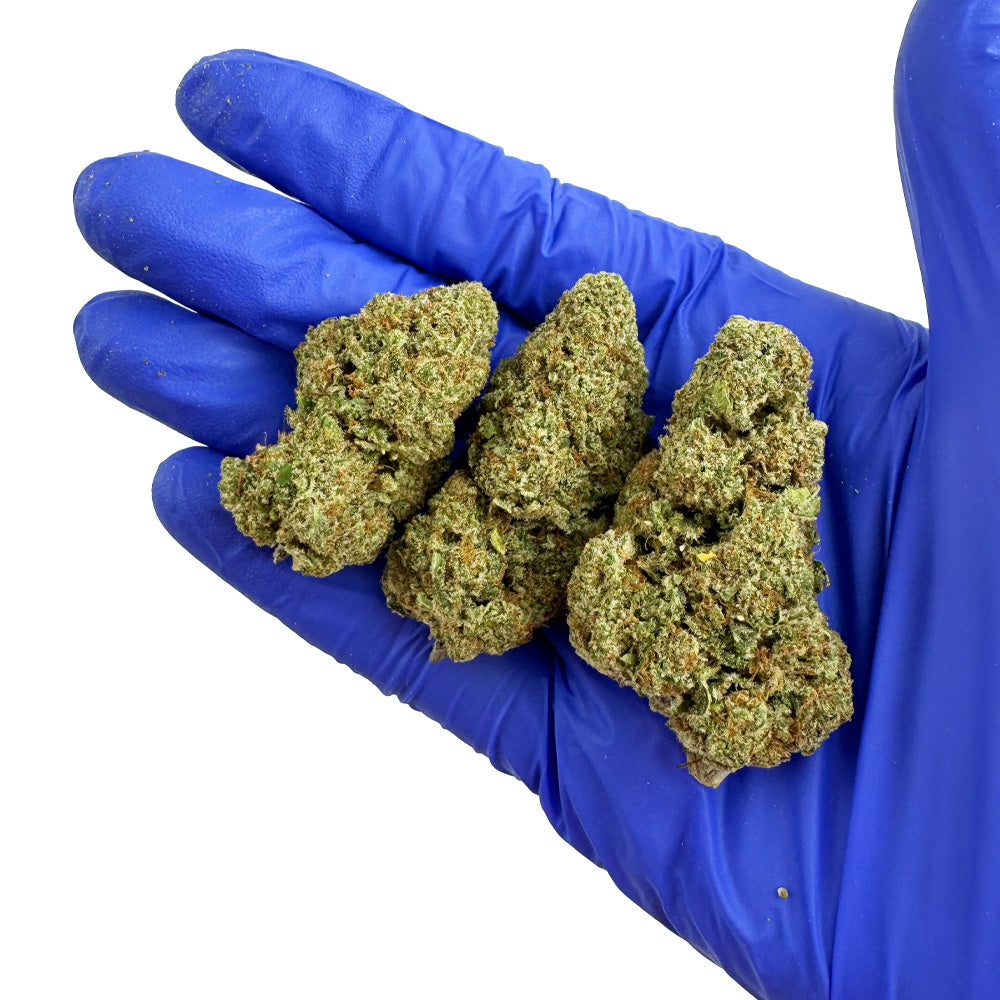 White Cheese - Indoor — photo 6