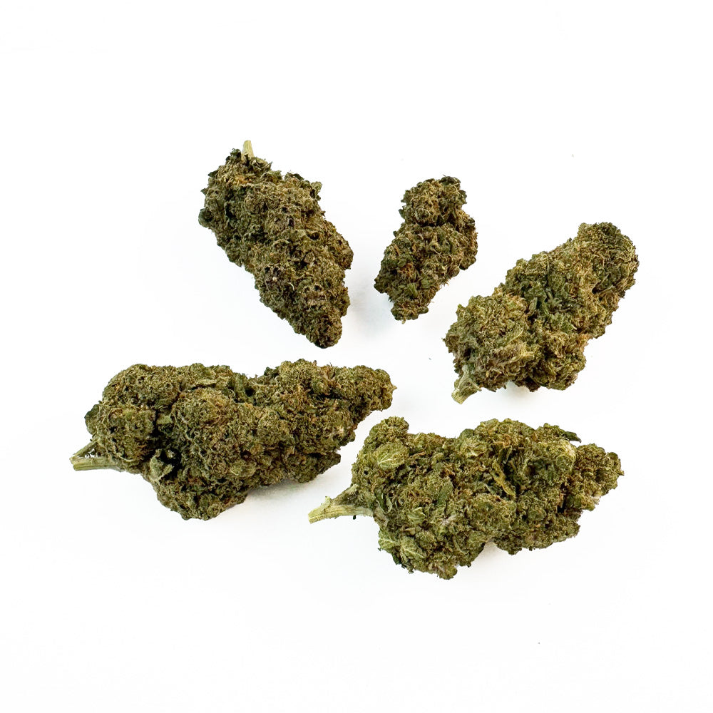 Guana Ice — fleur de CBD macro 2