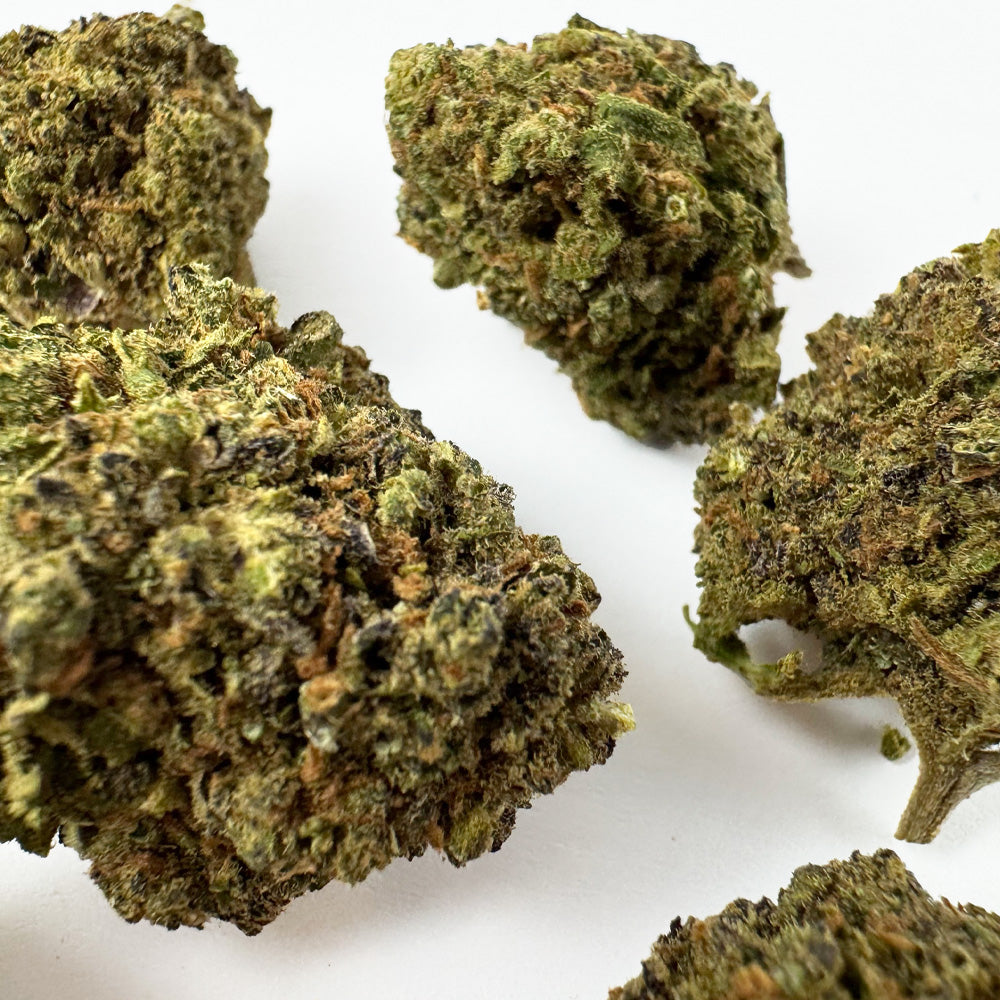 Medium buds Haze Berry - Indoor