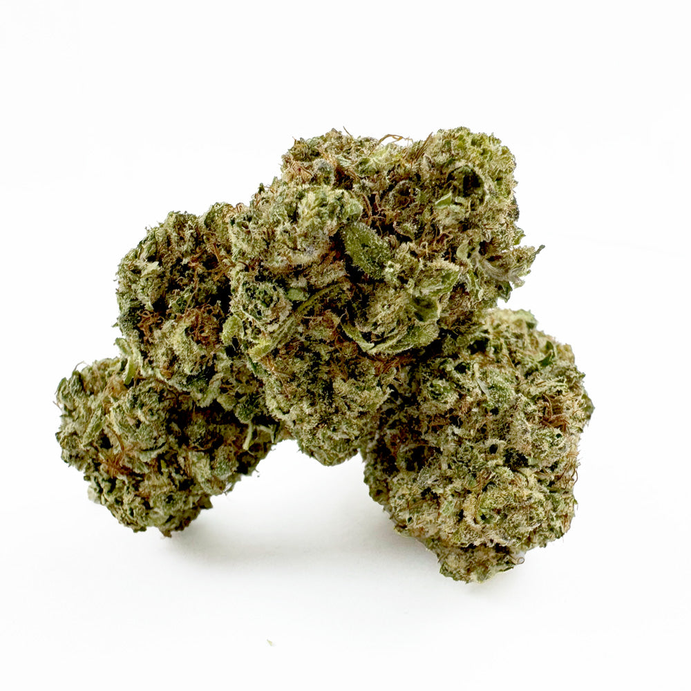 Malabar CBD - Indoor — photo 1