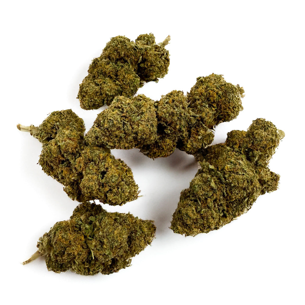 Orange Bud - Indoor