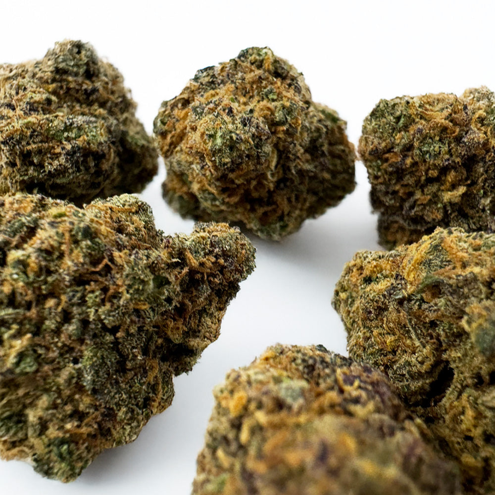 Medium buds Purple Gaz - Indoor