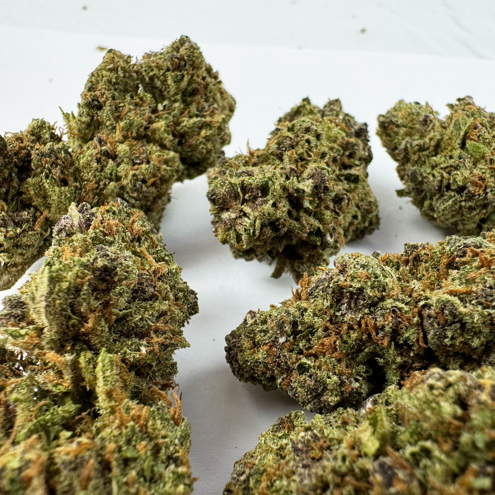 Purple Meringue - Glasshouse