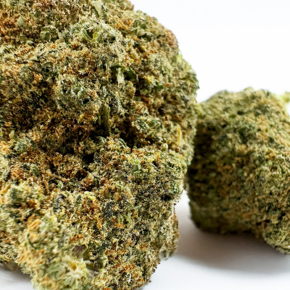 Rainbow X GP3 CBD - Indoor