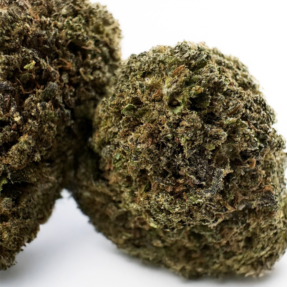 Royal OG - Hybride USA
