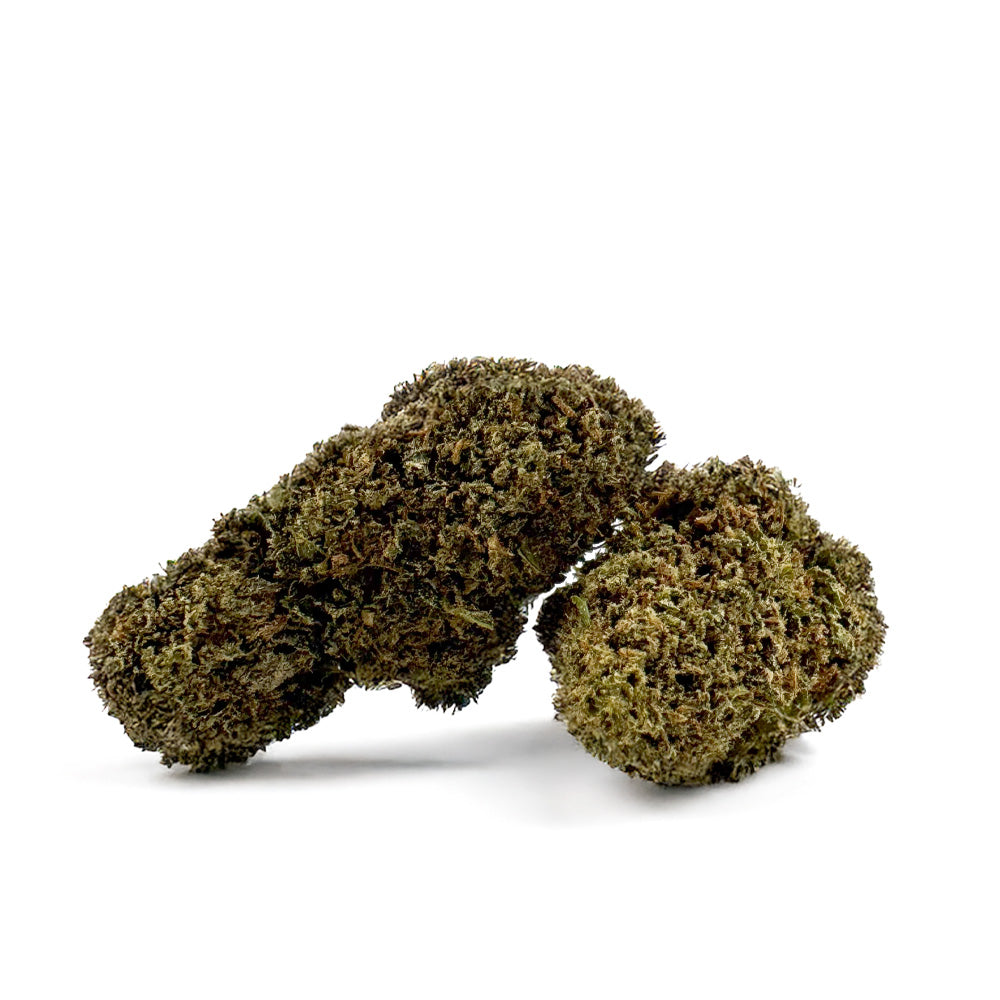 Skywalker - Indoor