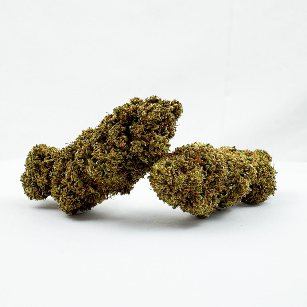 Strawberry - Glasshouse — photo 1