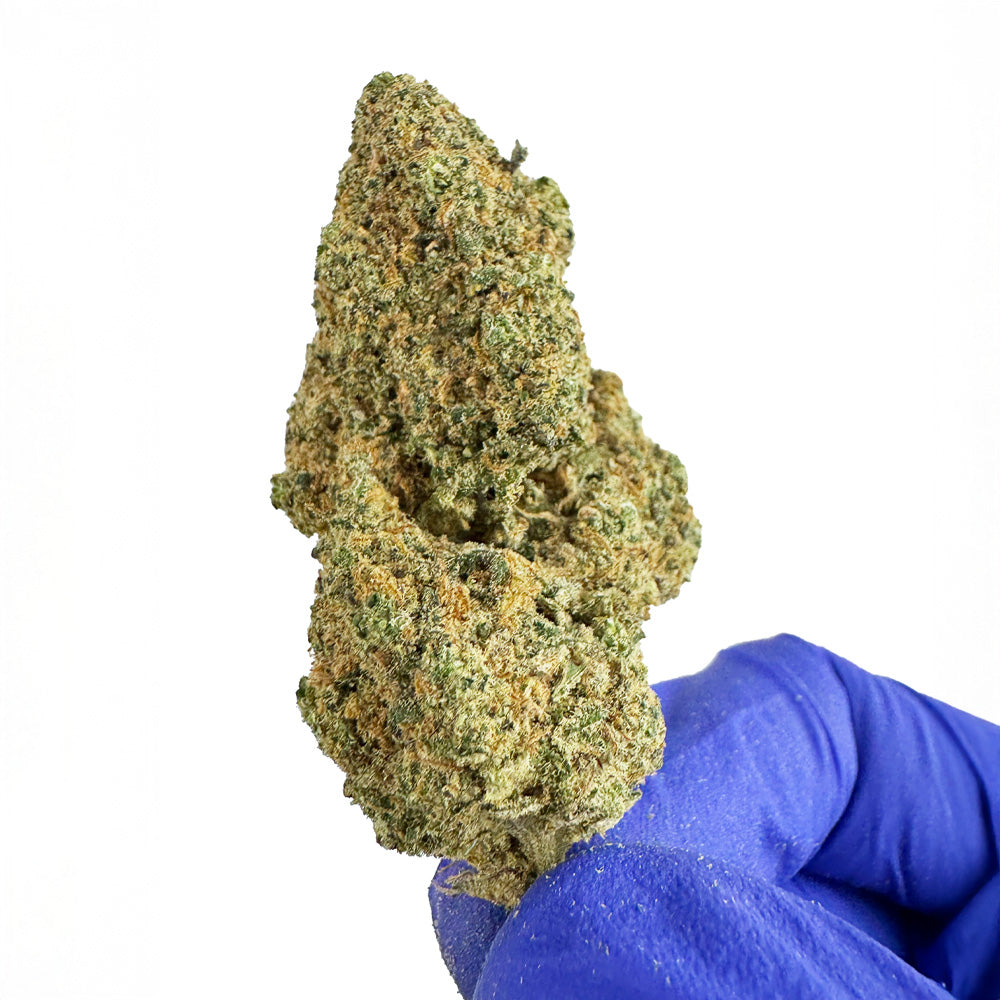 Sunset Sherbert CBD - Indoor