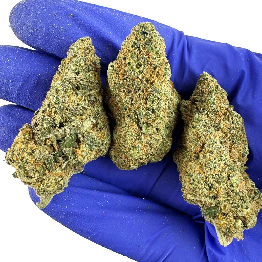 Sunset Sherbert CBD - Indoor
