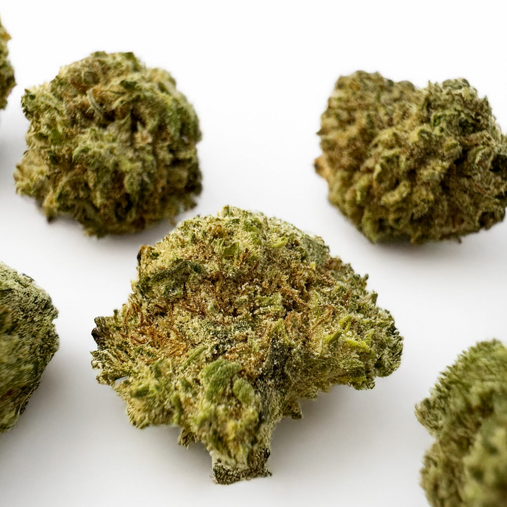 Small Buds White CBG - Hybride