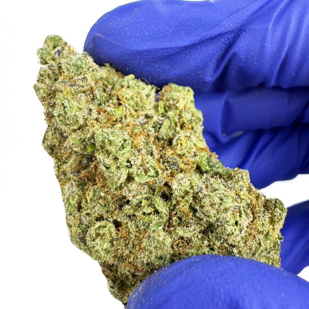 Zoap CBD - Indoor