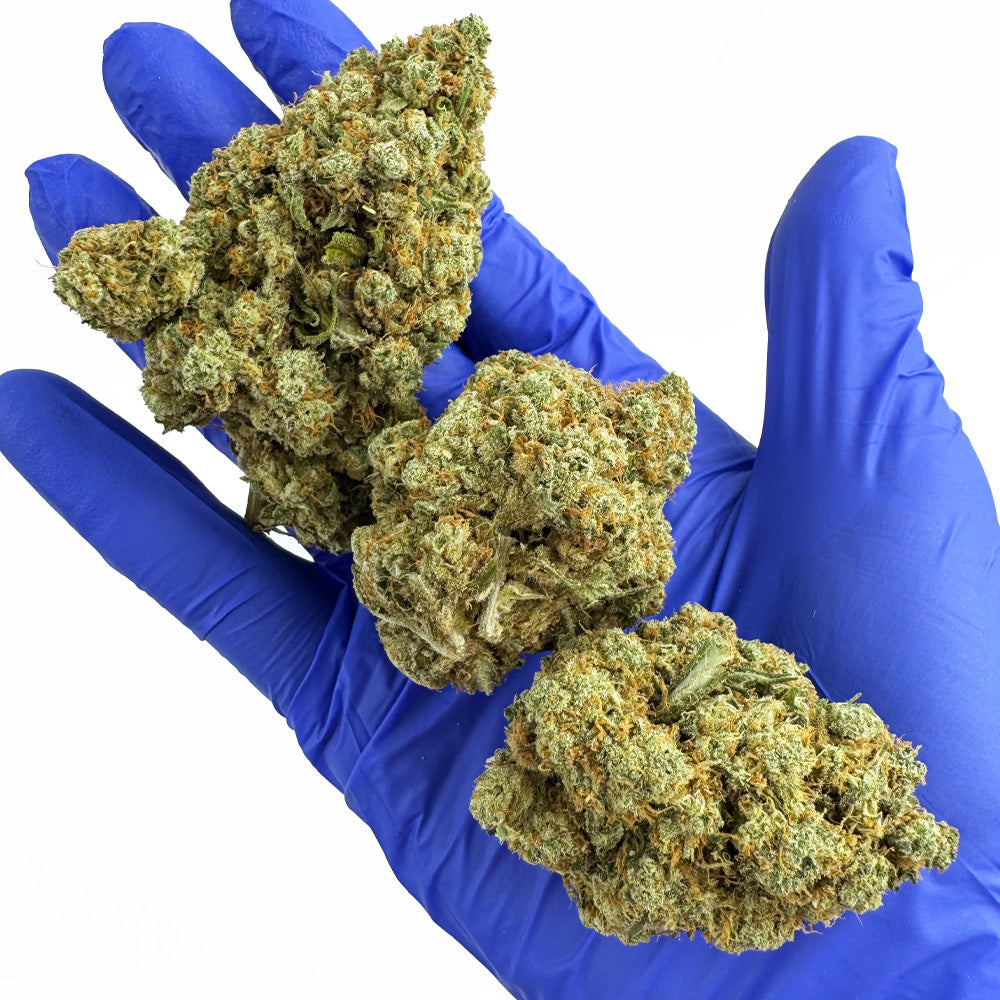 Amnesia JSH B1 CBD - Indoor — photo 6