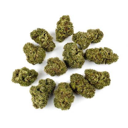 Small buds Apple Pie - Indoor