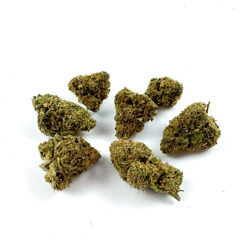 Medium buds Blueberry Muffin - Indoor