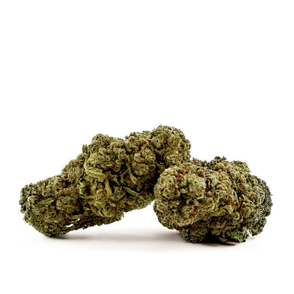Citrus OG - Indoor