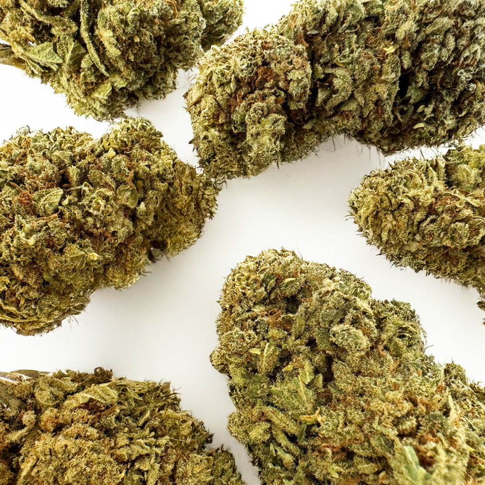 Citrus OG - Indoor