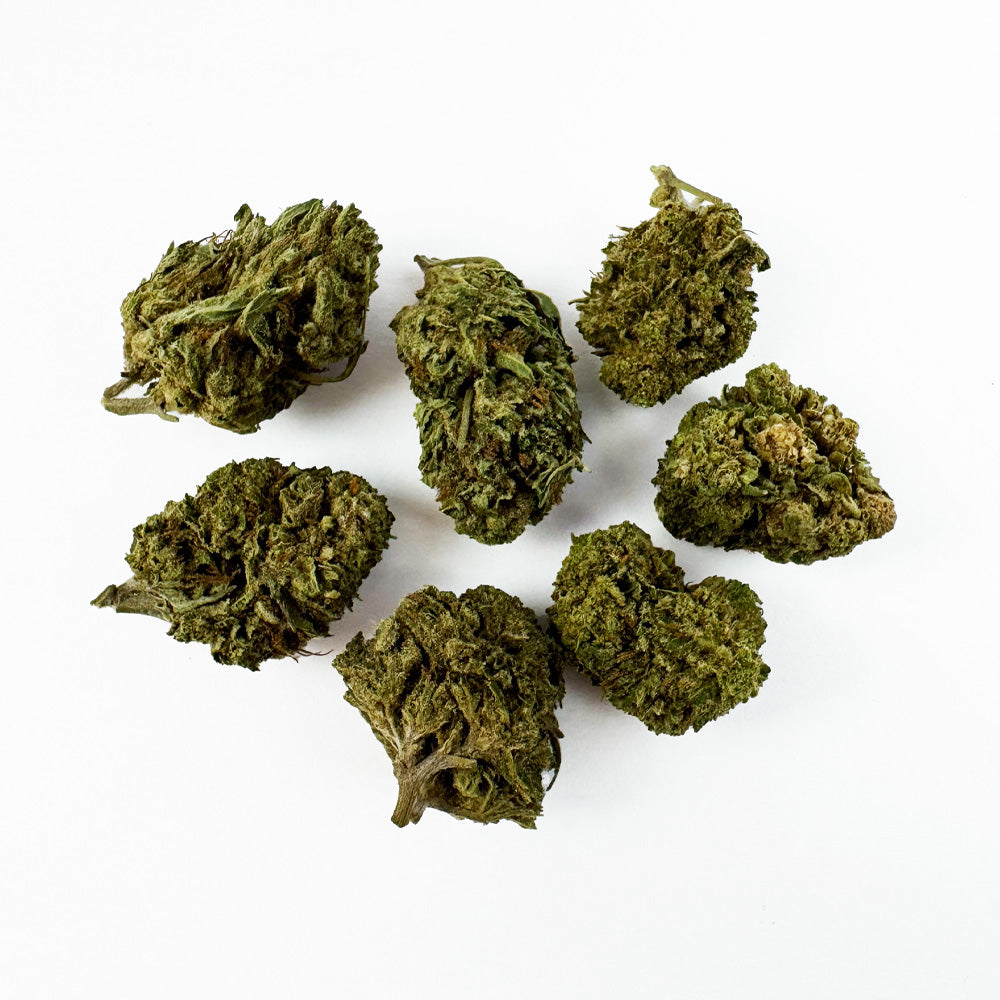 Small buds Critical - Hybride