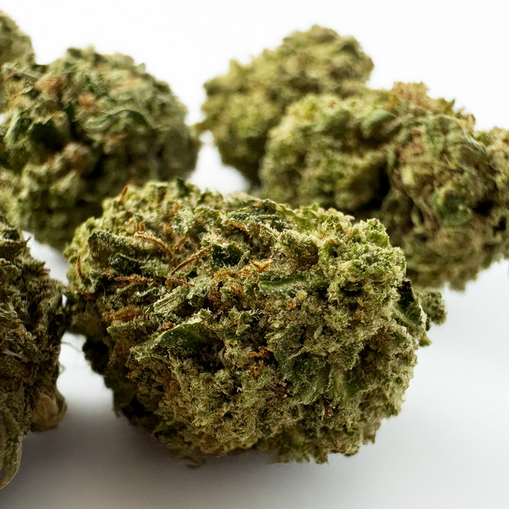 Small buds Critical - Hybride