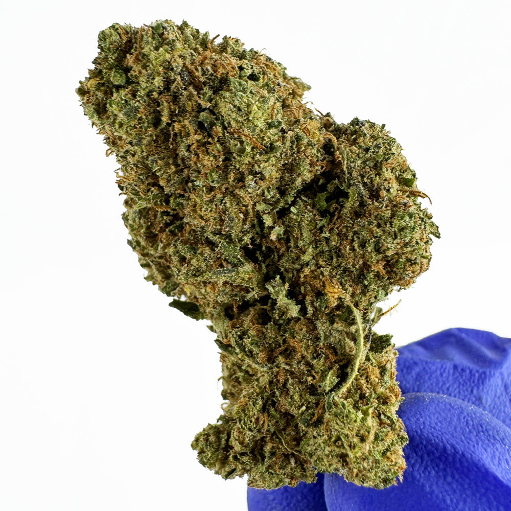 Strawpie - Greenhouse — photo 4