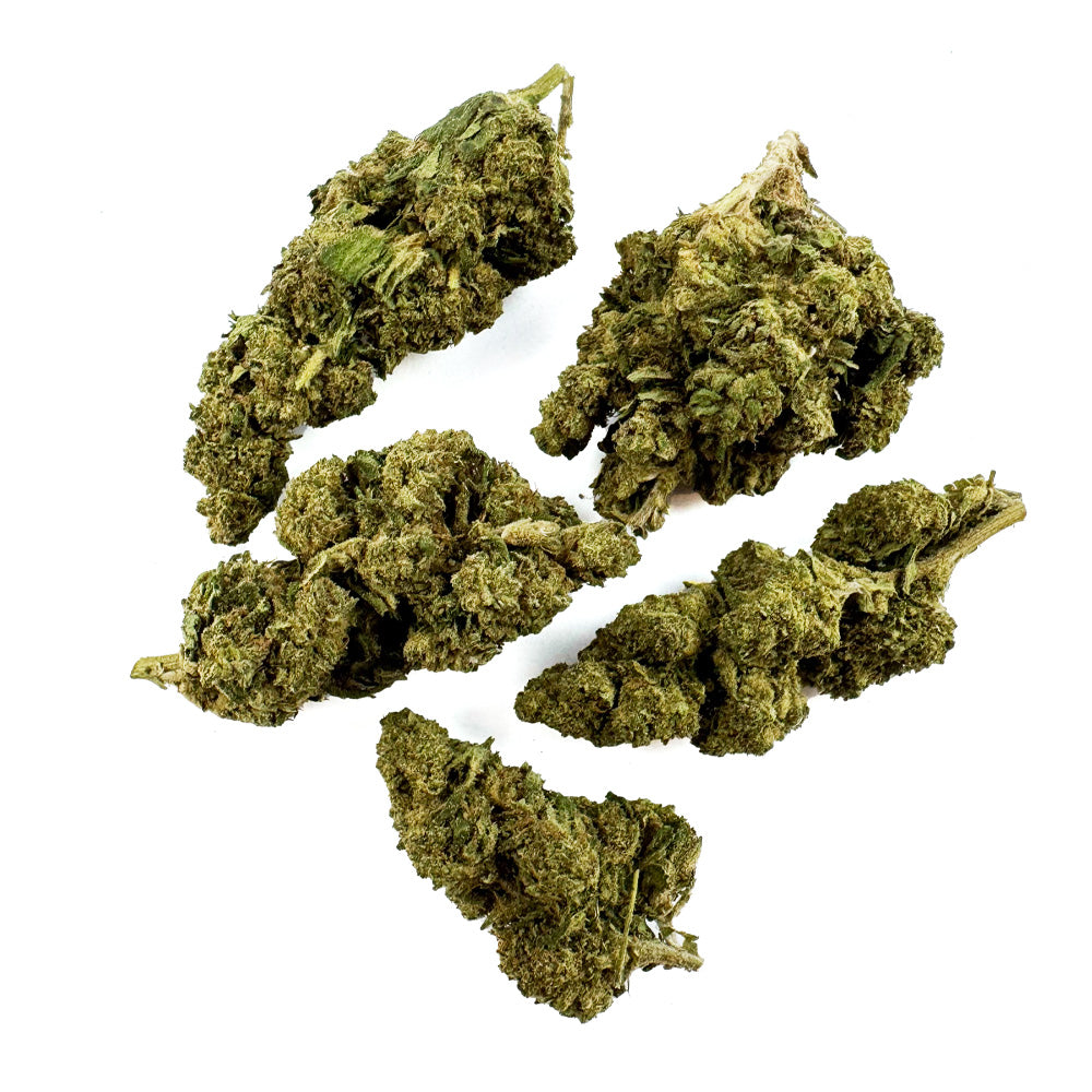 Super Skunk - Greenhouse — photo 2