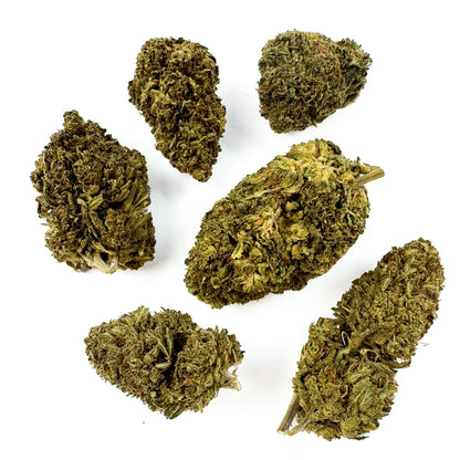 Lemon OG - Hybride USA — photo 5