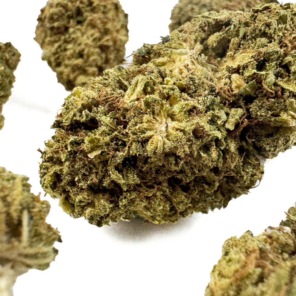 Lemon OG - Hybride USA — photo 6