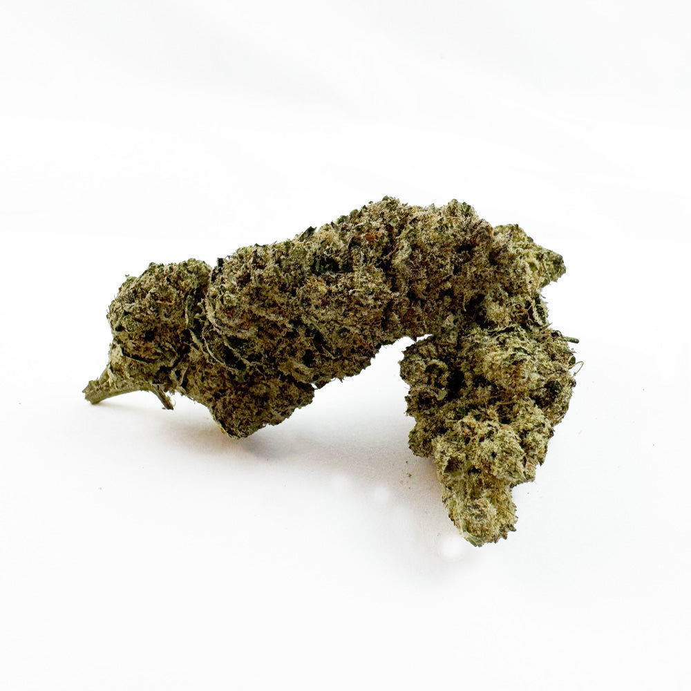 Apple Fritter - Indoor — photo 1