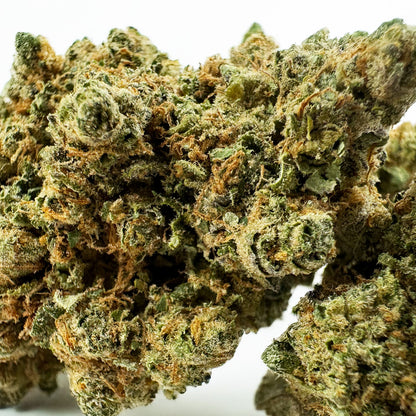 Lemon Haze HT - Indoor — photo 3