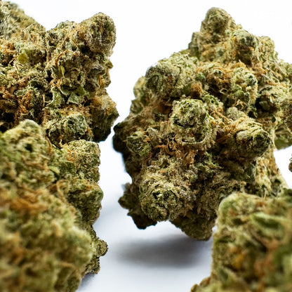 Lemon Haze HT - Indoor — photo 4