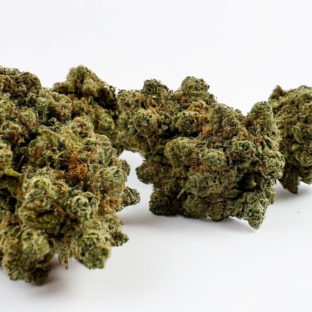 Lemon Haze HT - Indoor — photo 5