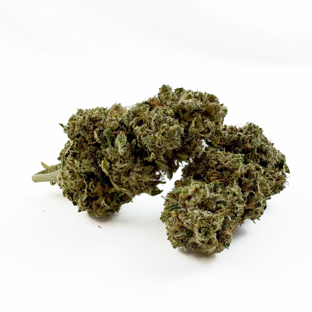RS11 - Indoor — photo 1