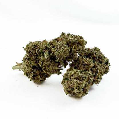 RS11 - Indoor — photo 1