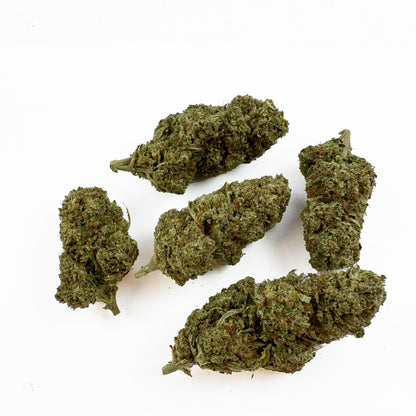RS11 - Indoor — photo 3