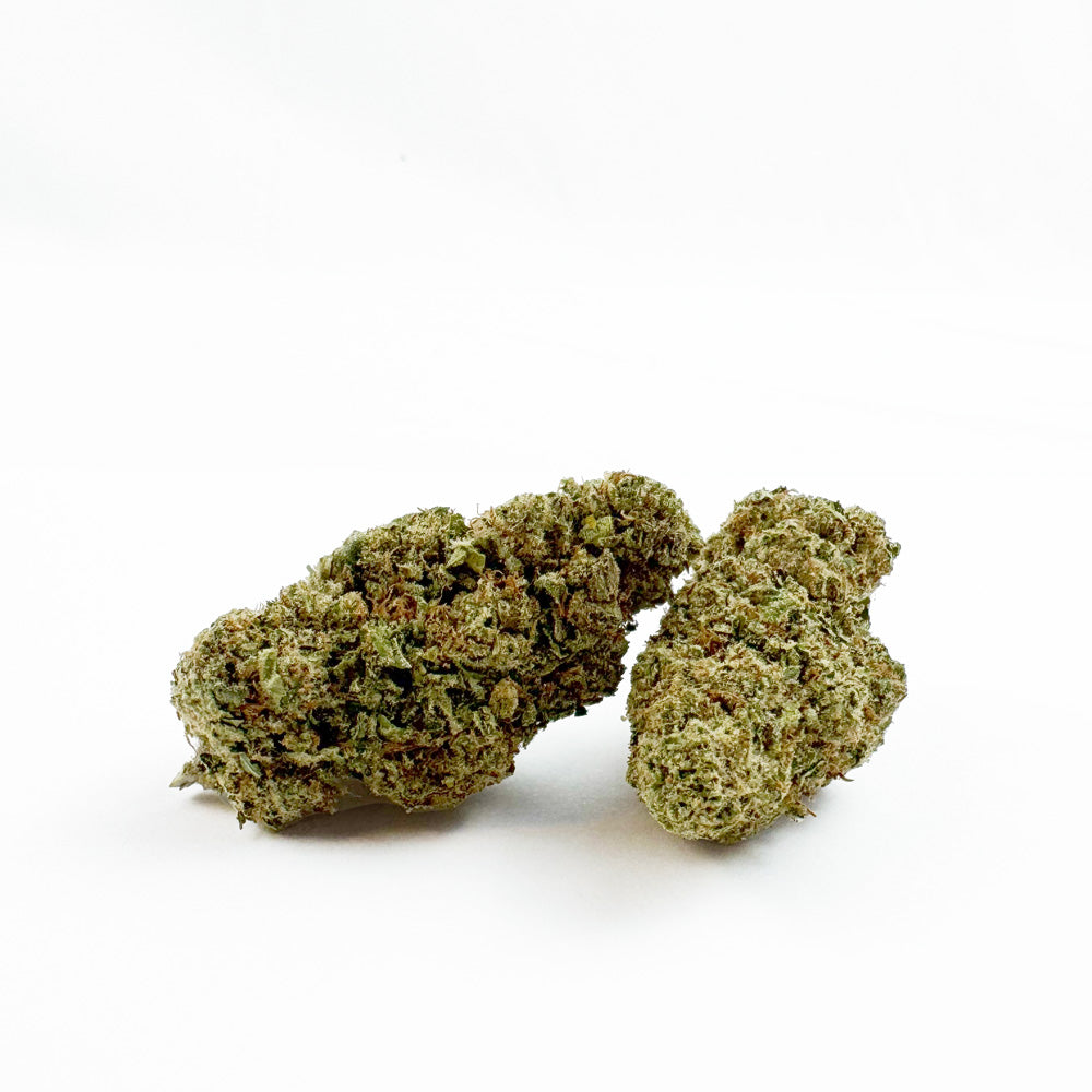 White Cheese - Indoor — photo 1