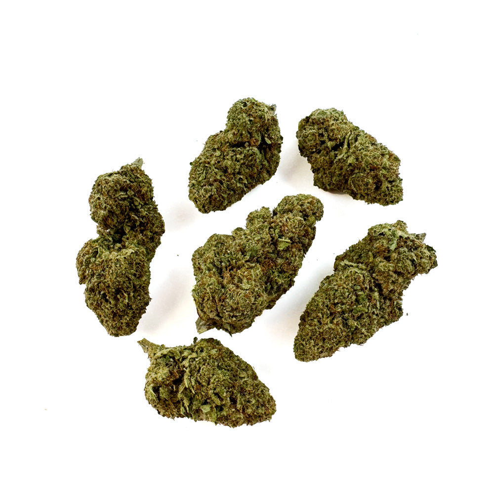 White Cheese - Indoor — photo 2