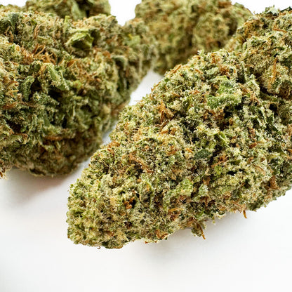 White Cheese - Indoor — photo 3