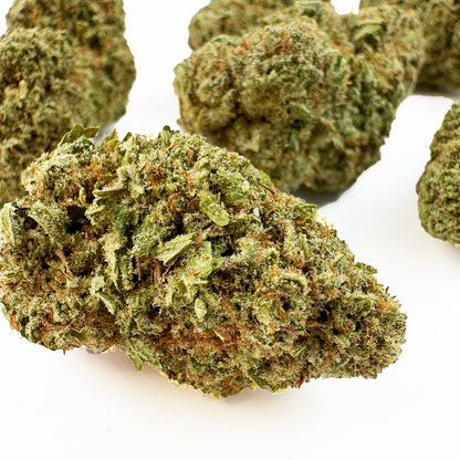 White Cheese - Indoor — photo 4