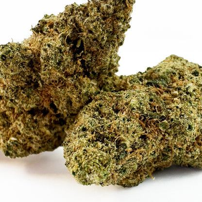 White Runtz - Indoor — photo 2