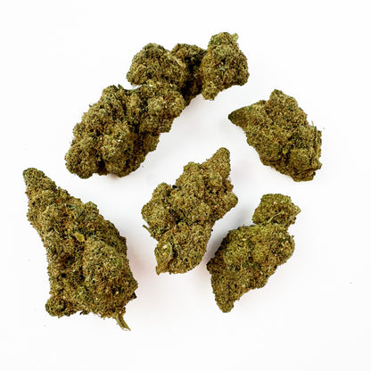 White Runtz - Indoor — photo 3