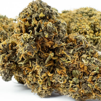 Grapefruit - Hybride USA