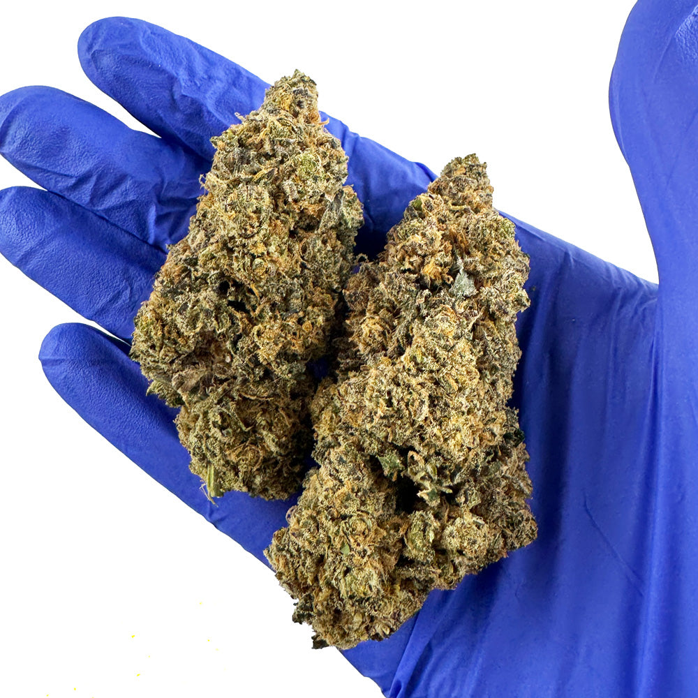 Grape Soda — fleur de CBD macro 5
