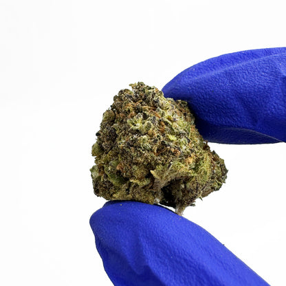 Medium buds Haze Berry - Indoor
