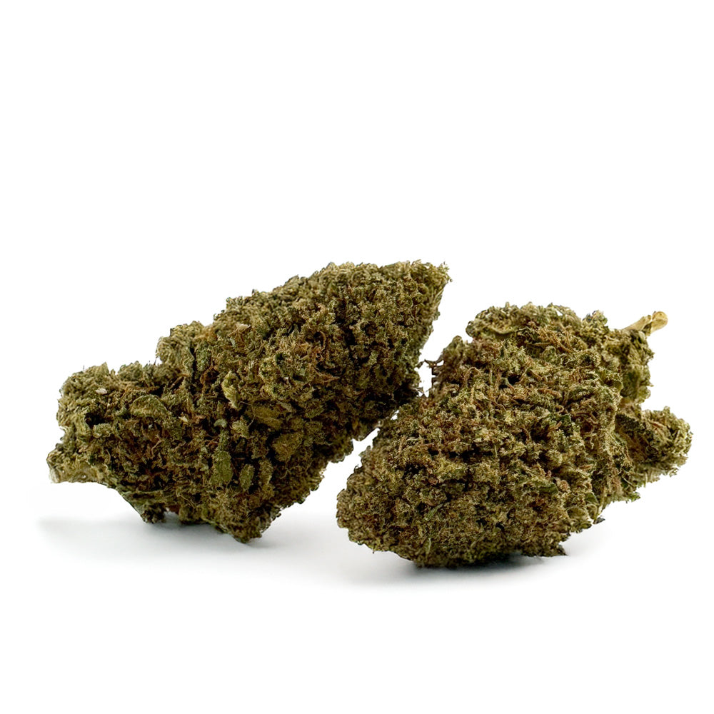 Juicy - Hybride USA
